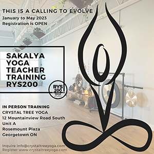 Sakalya Yoga Teacher Training RYS200 | January to May 2023